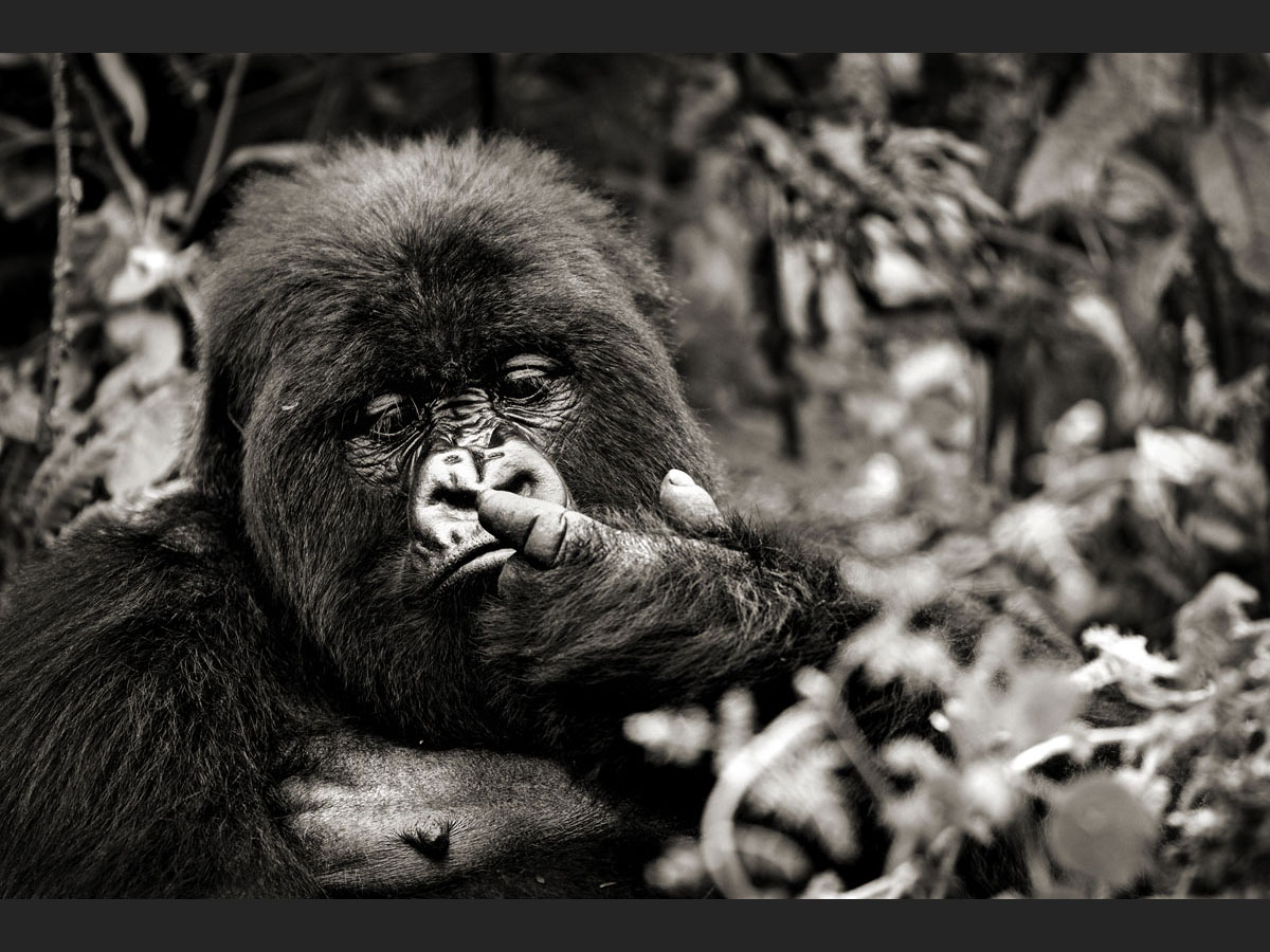 rencontre rwanda