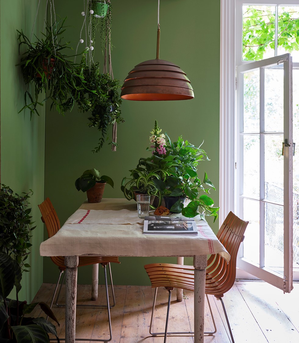 Déco murale avec plantes : top 10 idées tendance à piquer sans tarder