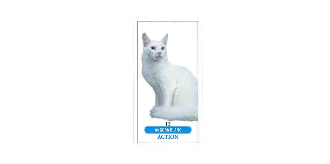 Tarot Des Chats La Signification Des 25 Lames Femme Actuelle