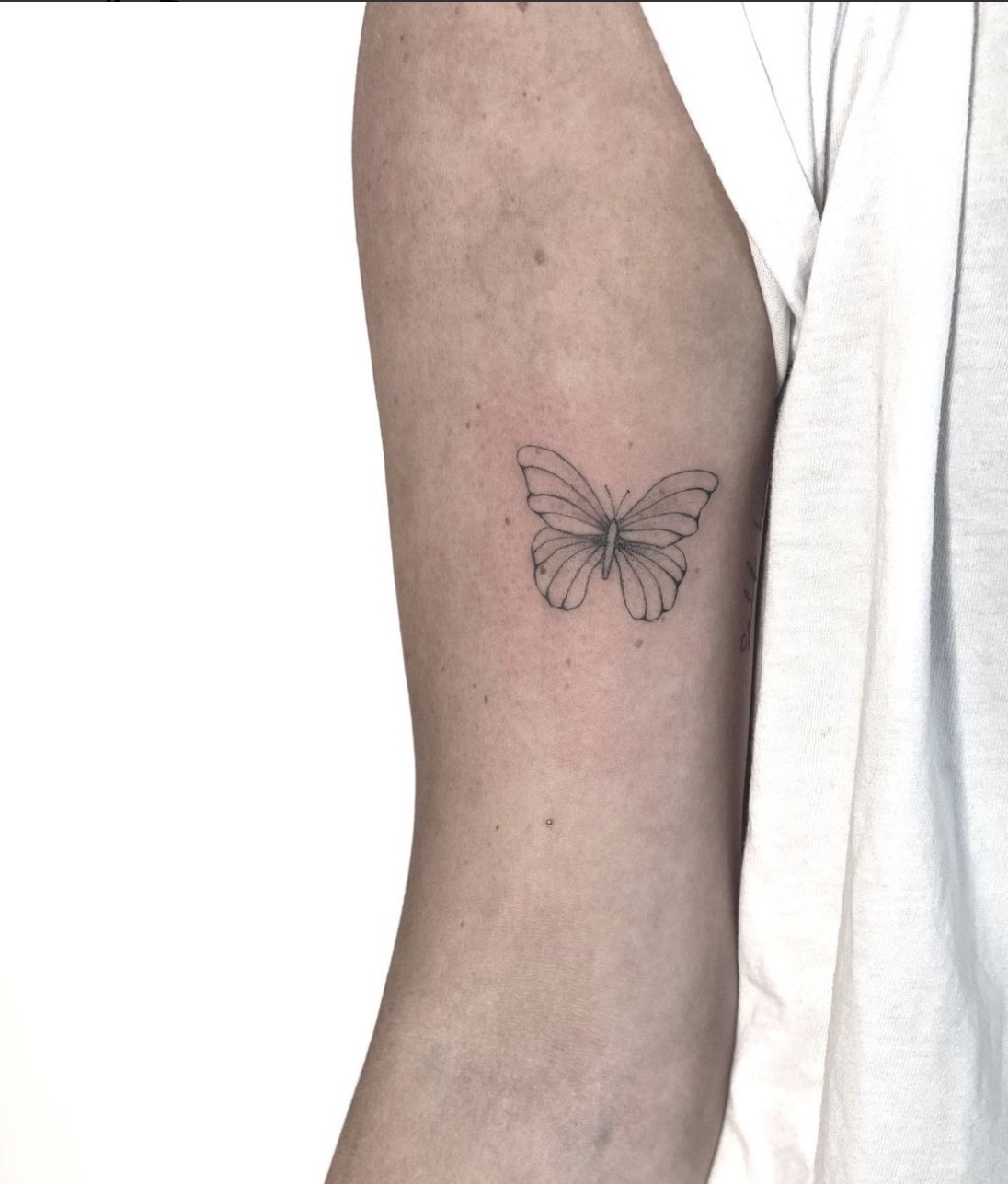 Modele Tatouage Papillon Avec Initiale 25 idées canons de tatouages papillon à adopter en 2022 - Femme Actuelle