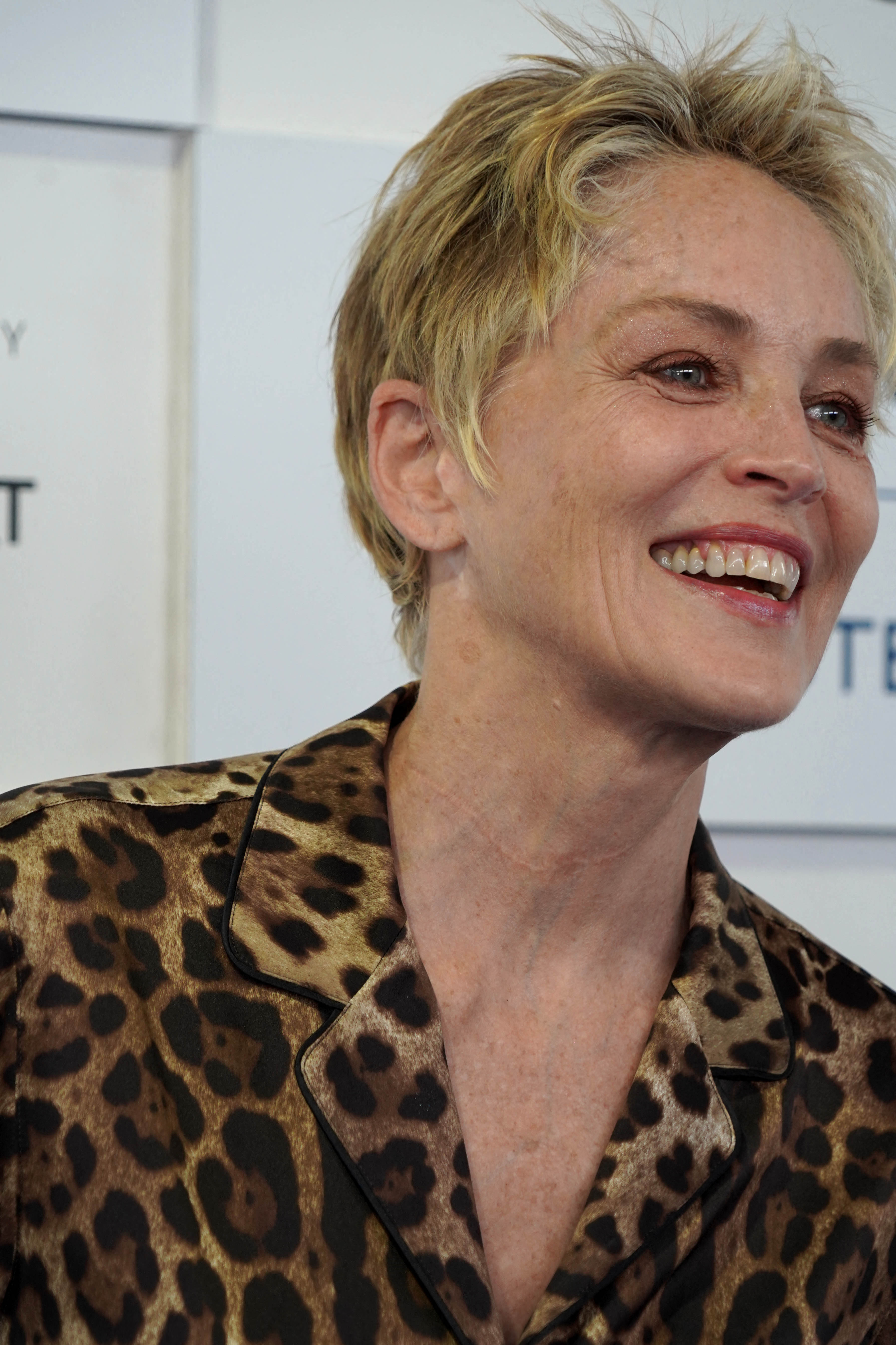 Coupe Courte ébouriffée Femme 50 Ans PHOTOS - Sharon Stone assume la coupe courte ébouriffée à 63 ans - Gala