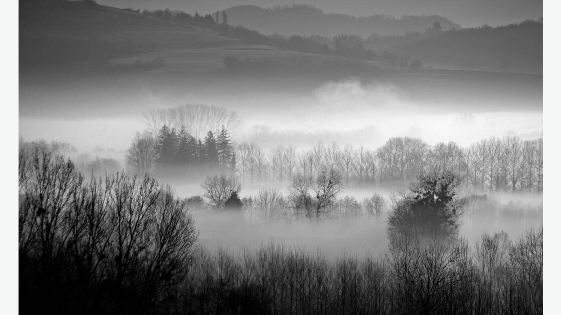 La nature en noir et blanc