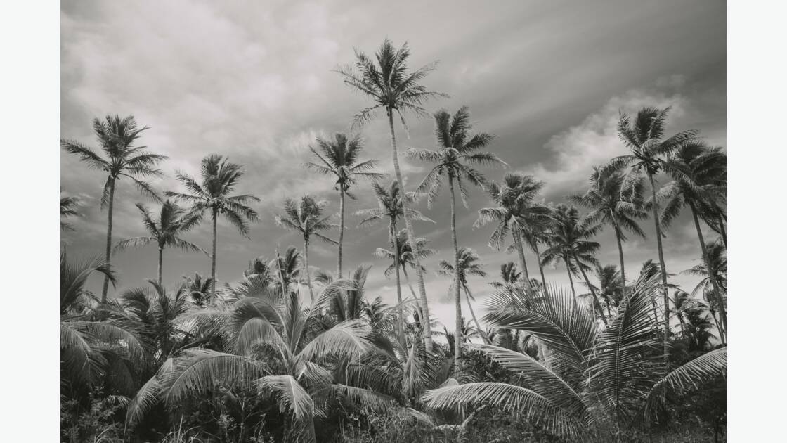 La nature en noir et blanc : les plus belles photos de la Communauté GEO -  GEO