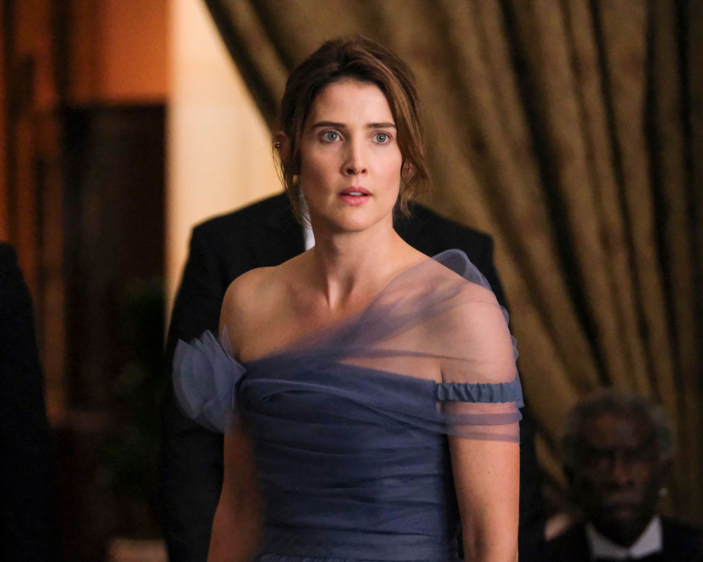 Cobie Smulders: From sitcoms to superheroes – A journey unveiled - See and  So